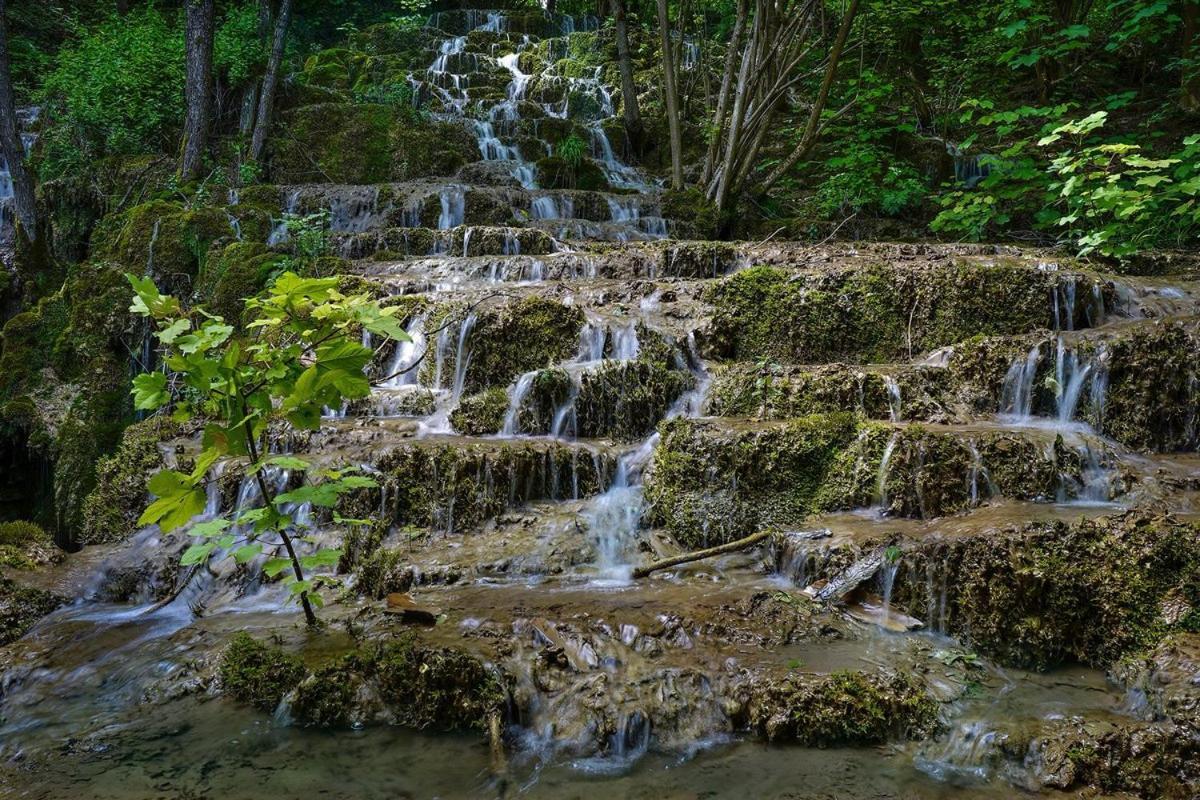 Garni Hotel Mali Predah - Novi Deo Knjazevac Bagian luar foto